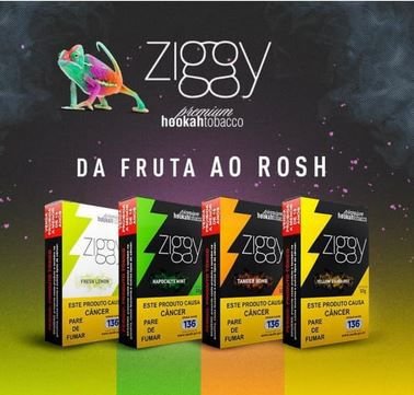 Essência Ziggy ATACADO